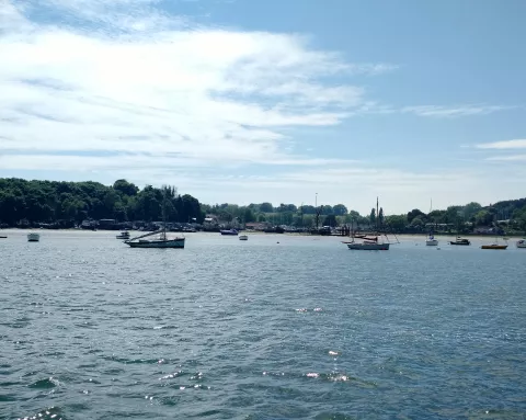 Zicht op Pin Mill