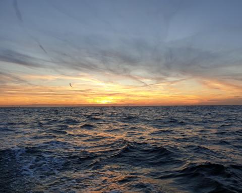 Golven en zonsondergang