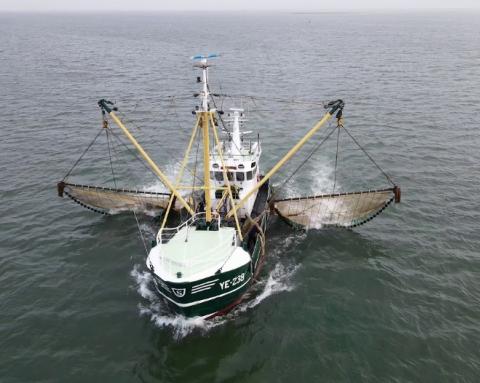 Vis trawler YE-238