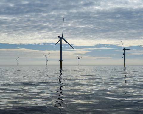 Terug aan de Nederlandse kust